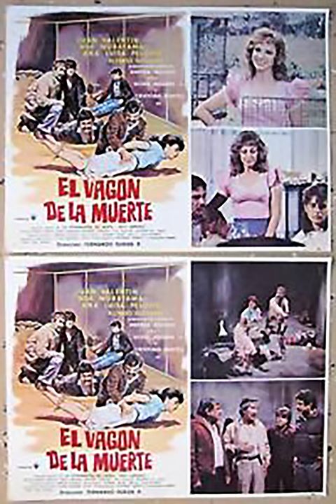 CINE CLUB DEL MUSEO
