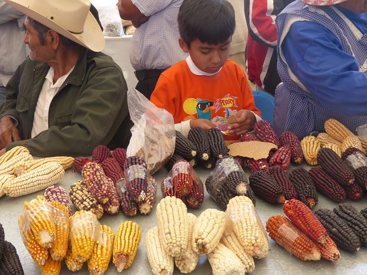 Clausura de la exposición Cultivamos un mundo diverso