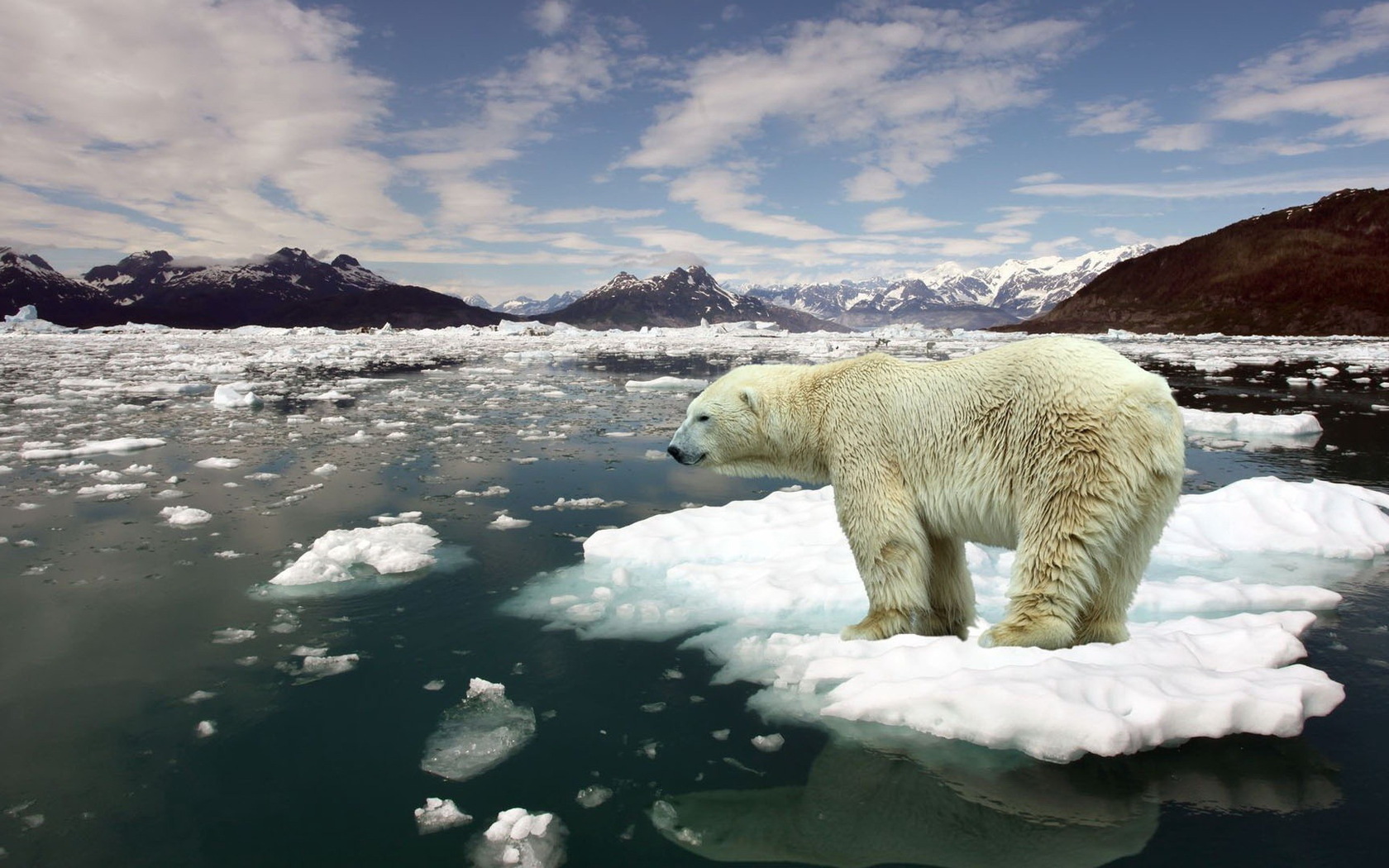 Lámpara Polar