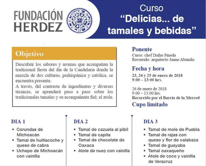 CURSO Delicias de tamales y bebidas