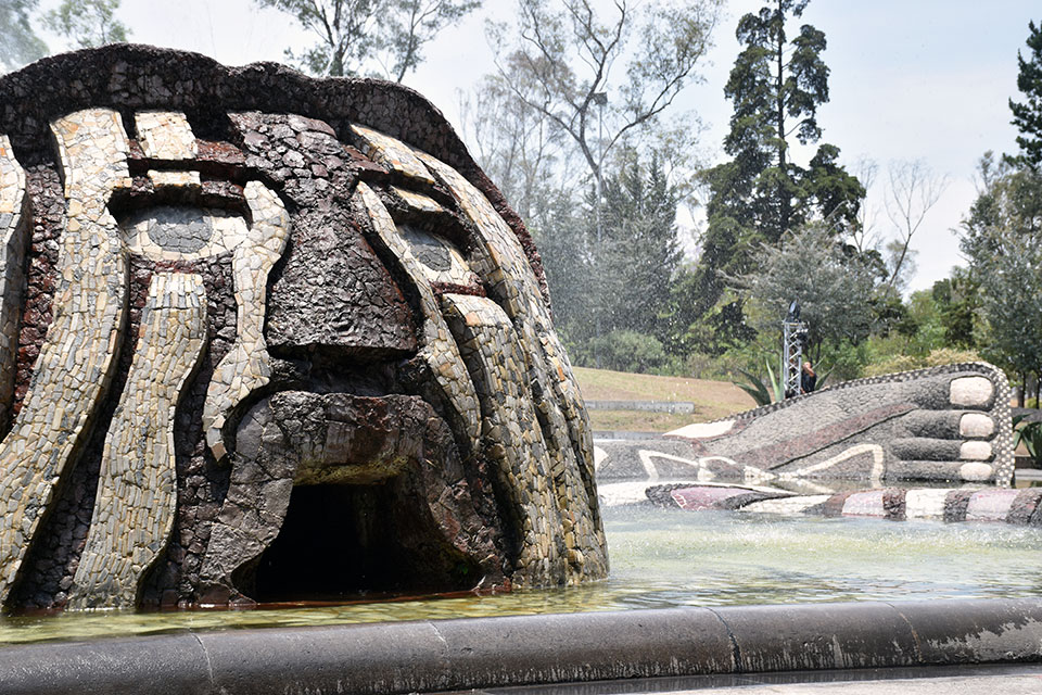 Museo Jardín del Agua | Cárcamo de Dolores 